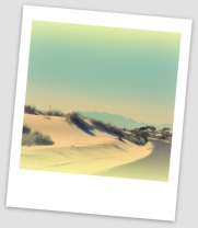 desert road polaroid