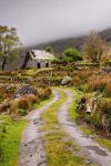 abandoned-irish-cottage